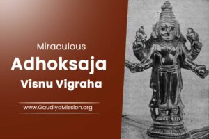 Read more about the article Adhoksaja Visnu